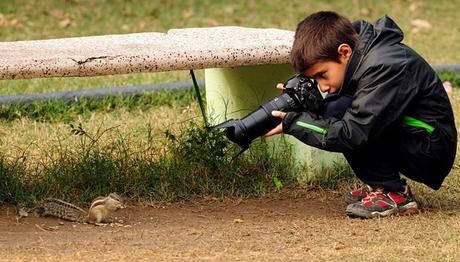 9 Yaşındaki İspanyol Çocuk Yılın Vahşi Yaşam Fotoğrafçı Oldu