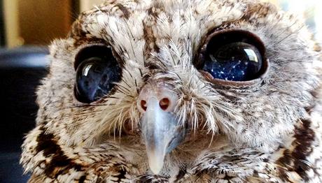 Örnek haber adı gelecek.