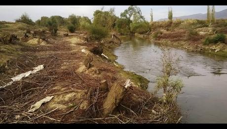 Gediz Nehri Katliamı