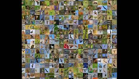 15000 Fotoğrafı Devirdik