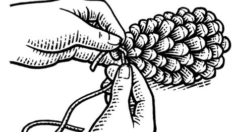 Kozalaklarla Kuş Beslemek