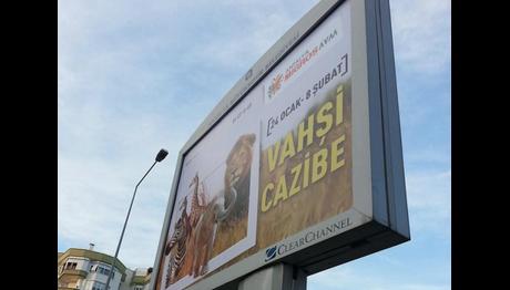 VAHŞİ CAZİBE ANTALYA'DA