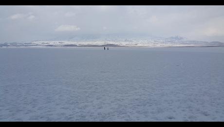 Van Gölü'nde Gözlem