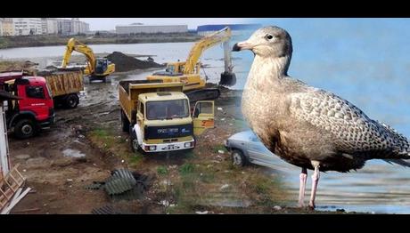 `Gizli Yer` Yok Oluyor