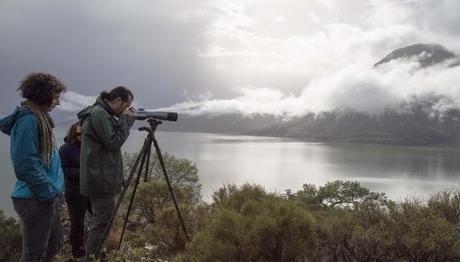 Ege Kuş Cenneti Oldu