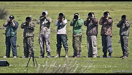 KUŞ FOTOĞRAFÇILIĞINDA EKİPMAN KOMBİNASYONLARI