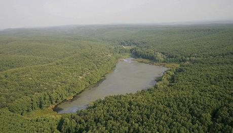 Longoz'un Pedina'sı Geri Döndü