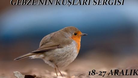 GEBZE'NİN KUŞLARI SERGİSİ