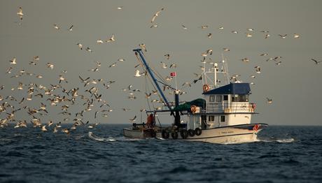 2016 Trakus Kongre Kararları