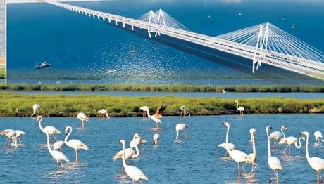 Kuş Cenneti'ne Otoban