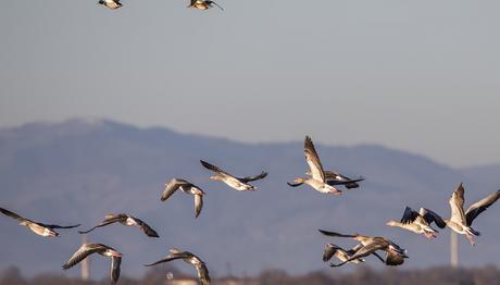 Delta'ya Doğa Eğitim Merkezi