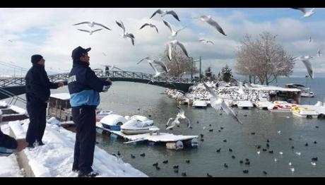 Beyşehir'de Zabıtadan Farkındalık Mesaisi