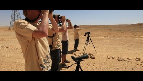 Yasa dışı kuş öldürmelerine karşı ileri önlemler 