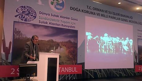 Etkinliğin Ardından