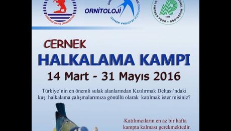 Cernek Halkalama Kampı 