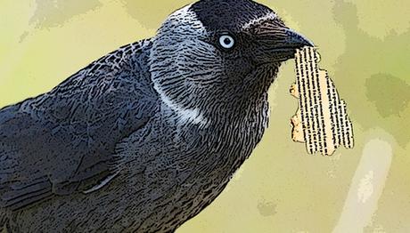 KUŞ YUVALARINDA SAKLANMIŞ TARİH