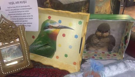 Şanlıurfa'nın Kuşları İlham Kaynağı Oldu