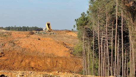 Çevre Performansı Endeksi'nde Türkiye Sonlarda
