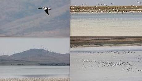 Seyfe Gölü'nün Gönüllü Tanıtıcısı