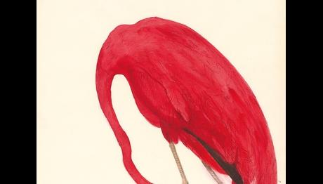 YOK OLMADAN: Doğa ve Sürdürülebilirlik Üzerine Bir Sergi