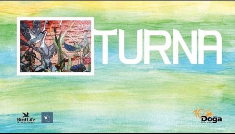 Anadolu turnaları hakkında