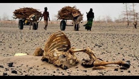 `İklim Değişikliği yüz binlerce kişiyi öldürecek`