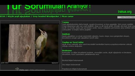 Örnek haber adı gelecek.