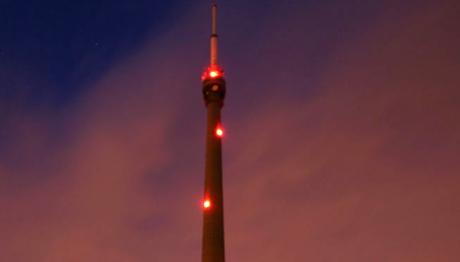 Yanıp Sönen Işıklar Kuşların Hayatını Kurtarıyor