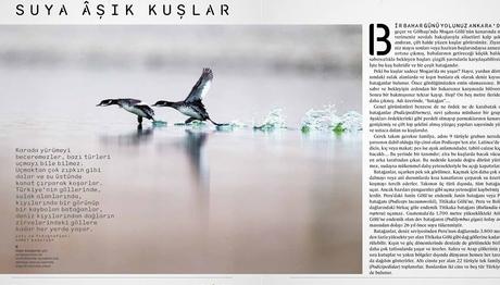 Prof.Dr.Ahmet Karataş -  Mart Yazıları