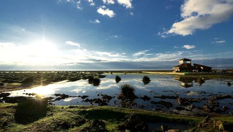 Kızılırmak Kuş Cenneti'ne Atlı Jandarma Geliyor