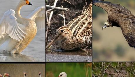 Örnek haber adı gelecek.