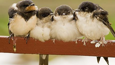 Örnek haber adı gelecek.
