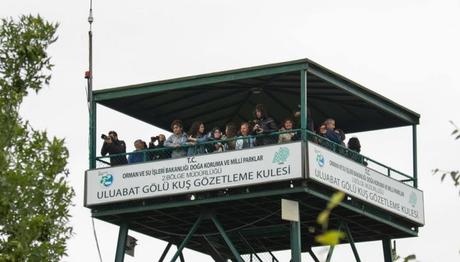 `Kuşlar da Gitti` Yoldaşlığında Gözlem