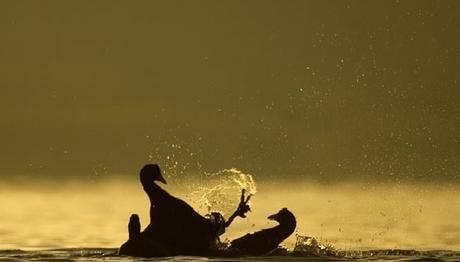 Örnek haber adı gelecek.