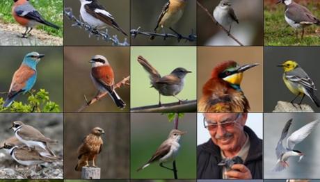 Örnek haber adı gelecek.