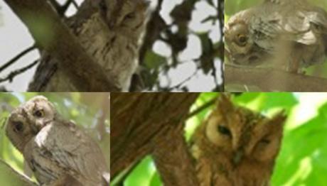 Örnek haber adı gelecek.