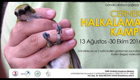 Kızılırmak Deltası seni çağırıyor!