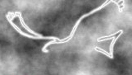 Örnek haber adı gelecek.