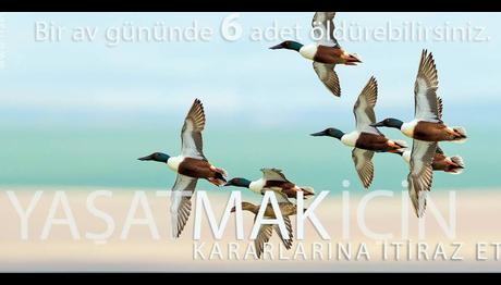 Aman Avcı Vurma Beni