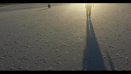 Kuruyan Seyfe gölü mahkemelik oluyor