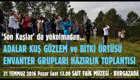 Son kuşlar yok olmadan