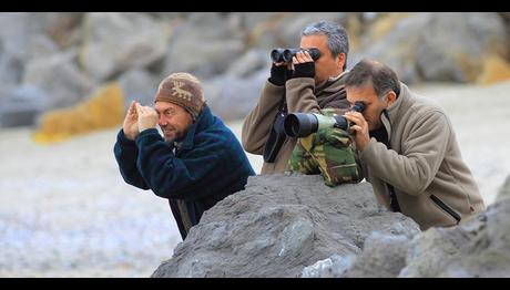 Şimdi Göç Zamanı