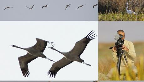 Sulakalanlarımız Belgeselde