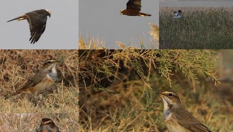 Örnek haber adı gelecek.