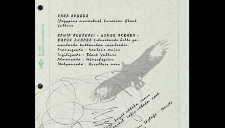 Örnek haber adı gelecek.