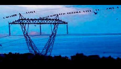 EPDKdan 895 bin liralık göçmen kuş bütçesi