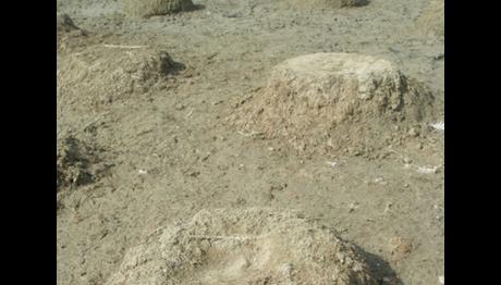 Örnek haber adı gelecek.