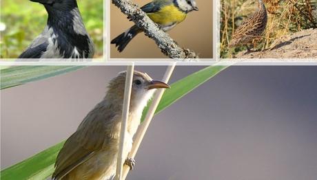 Örnek haber adı gelecek.