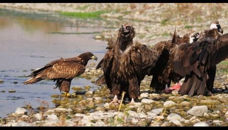 Örnek haber adı gelecek.