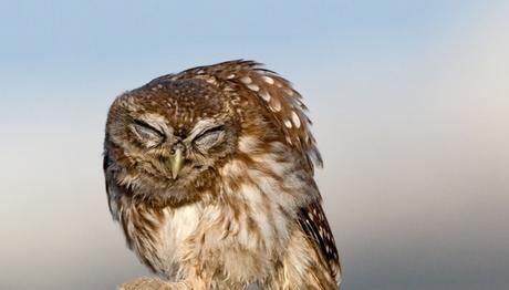 Örnek haber adı gelecek.